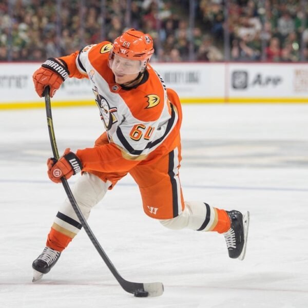 Ducks eye playoff positioning in regular-season finale vs. Predators