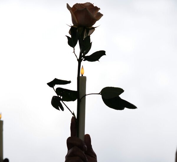 Opinion | Haiti’s Original Sin? Freedom.