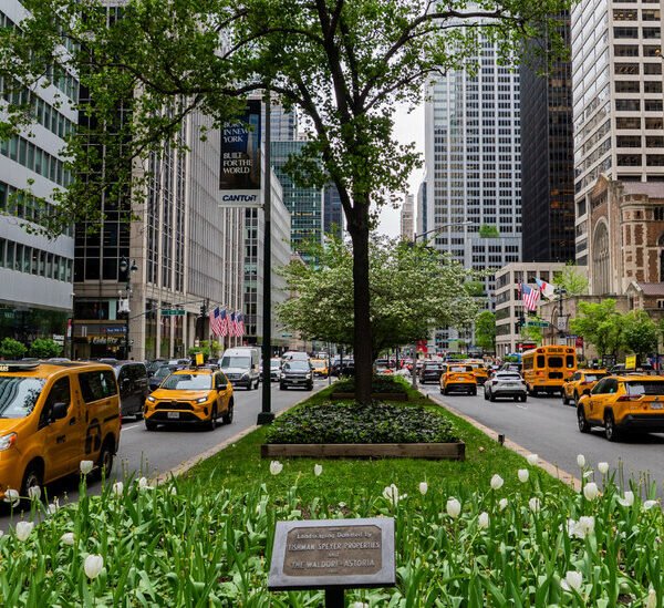 New York City Announces Proposed Designs for Park Avenue Overhaul