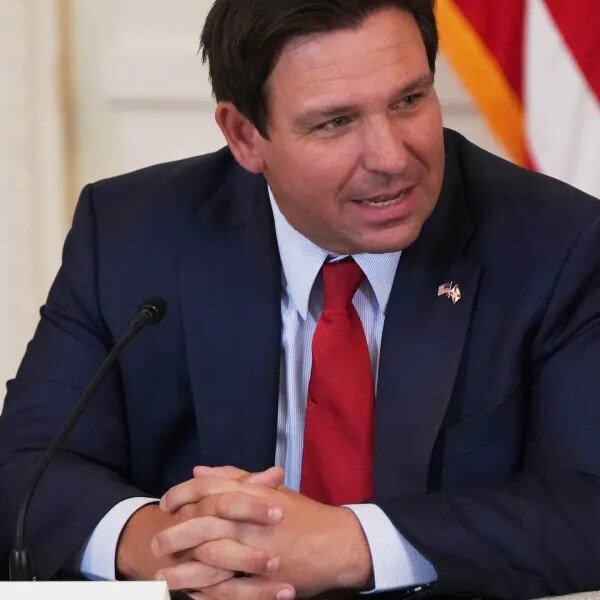 ‘The disfavored teams, No. 1, clearly, could be white males’: Ron DeSantis&hellip;