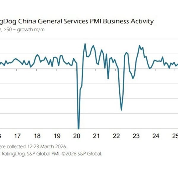 China Services PMI slows as home demand offsets weak exterior circumstances