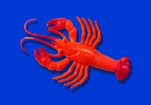 Anthropic says Claude Code subscribers might want to pay further for OpenClaw help