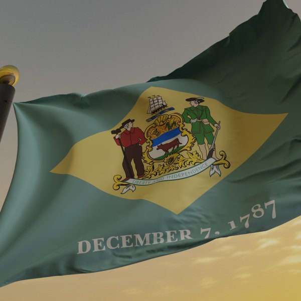 Musk needed to flee Delaware. This CEO needs to repair it