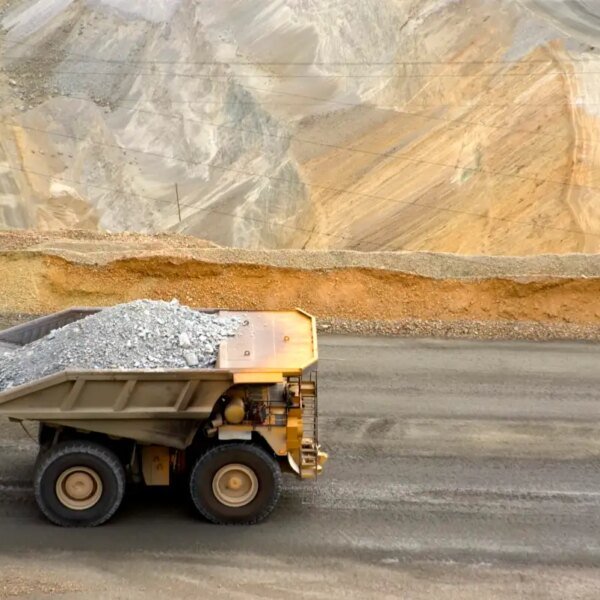 Earth AI is vertically integrating the seek for vital minerals