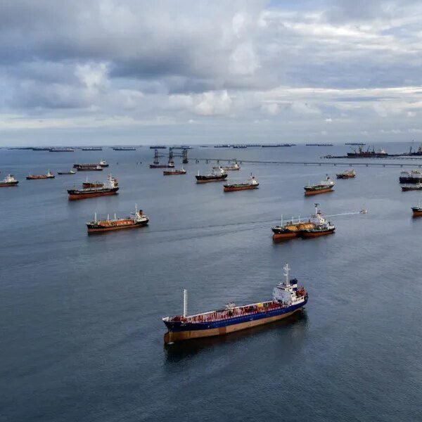 A world meals emergency: Why the closed Strait of Hormuz places half…