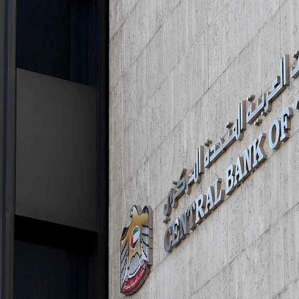 UAE in talks with U.S. for attainable monetary lifeline, WSJ says