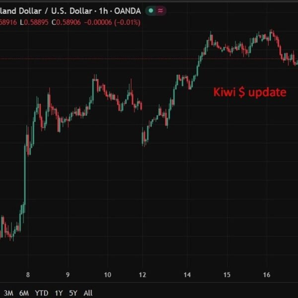 NZ meals costs fall, spending slows as RBNZ maintains cautious stance