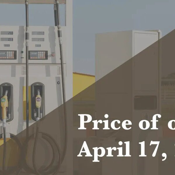 Down Arrow Button Icon