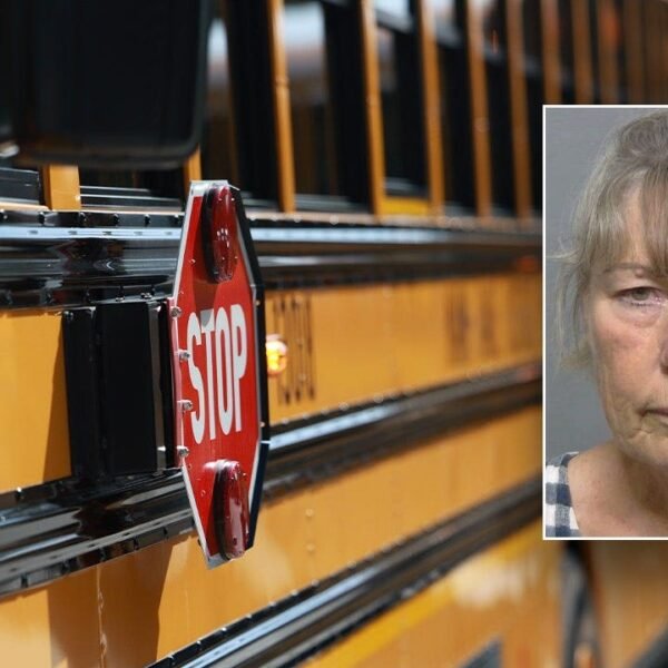 Florida bus driver charged with little one neglect after prepare clips faculty…