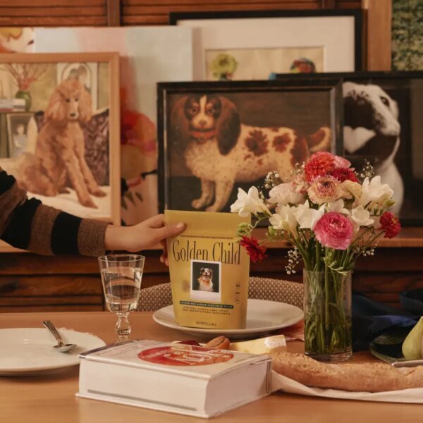 Drizzle on high: a brand new high-end pet food model is coming&hellip;