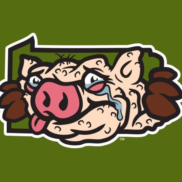 Lehigh Valley IronPigs honor weepy legend with Squonk alternate identification – SportsLogos.Net&hellip;