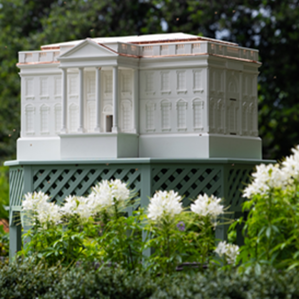 Melania Trump expands White House beehive program with new South Lawn hive