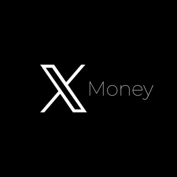 Crypto And Financial Industry Giants Reveal What X Money Launch Means