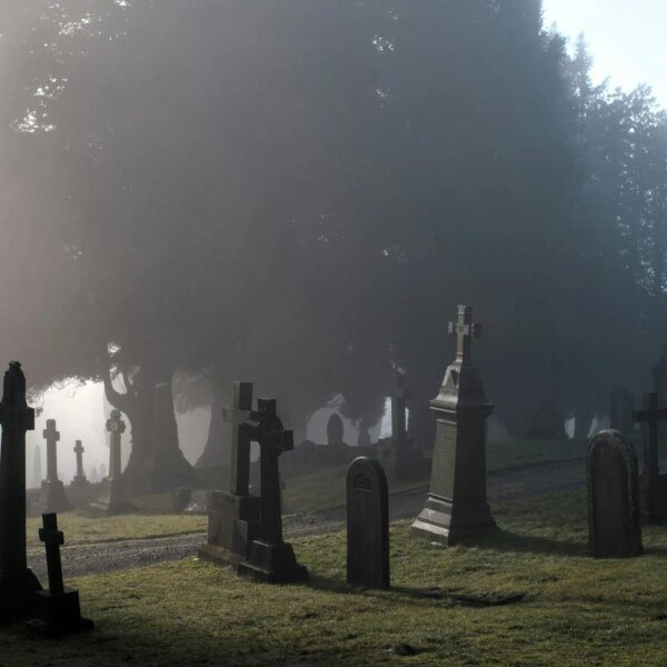 Altcoin Carnage Ahead? 99% Could Be Wiped Out, Analyst Says