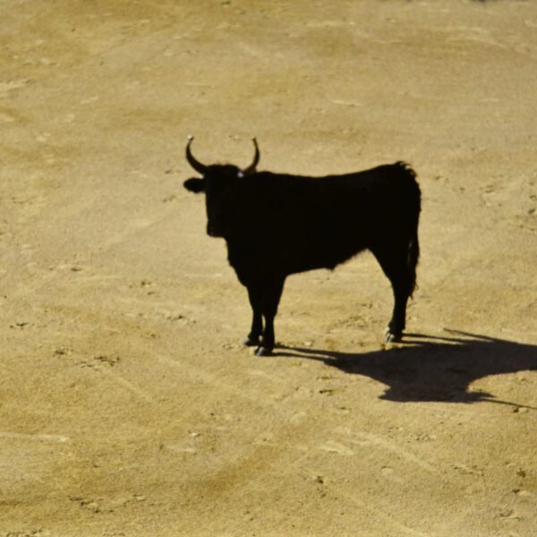 Bitcoin Liquidity Rotation Turns Bullish Again As Stablecoin Shelter Starts To Unwind