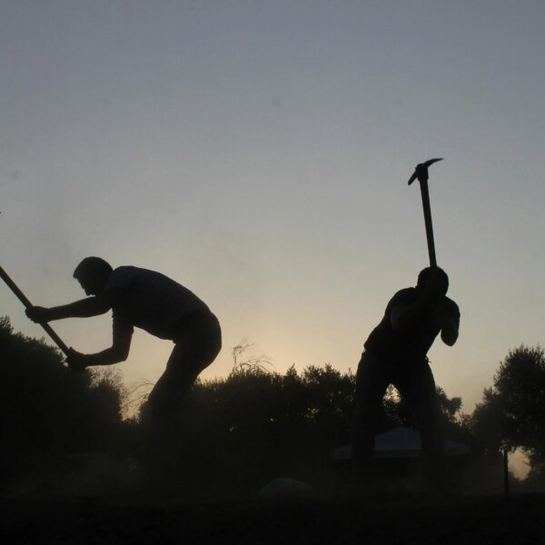 Crypto Miners Get Tax Holiday In Uzbekistan’s New State-Backed Zone