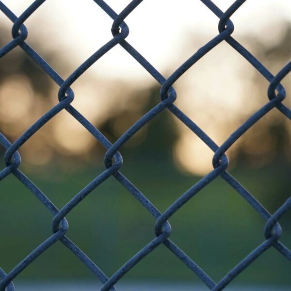 Polymarket Sees Record $153M Daily Volume After Chainlink Integration