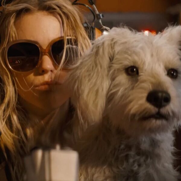 From Kara and Krypto’s bond to team-up with Lobo, each element and&hellip;