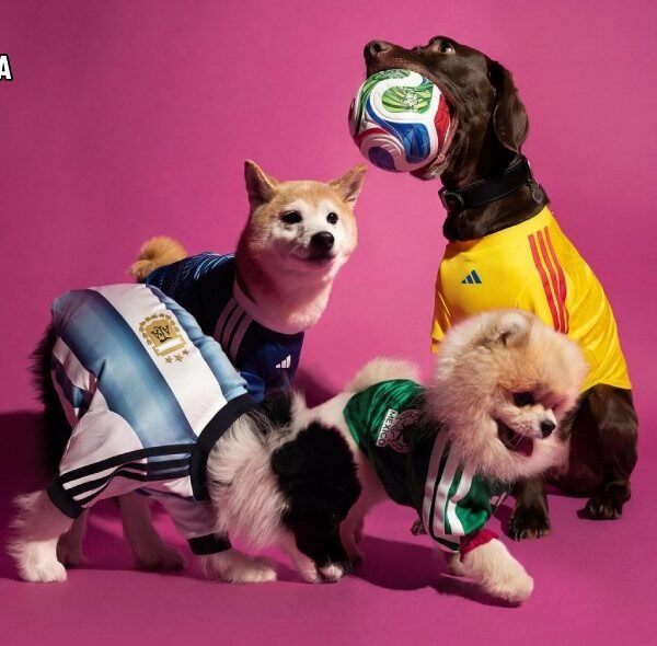 Adidas Goes to the Dogs With Launch of World Cup Kits for&hellip;