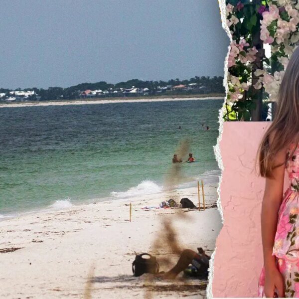 Florida lady returns to seashore after shark assault practically severed her hand