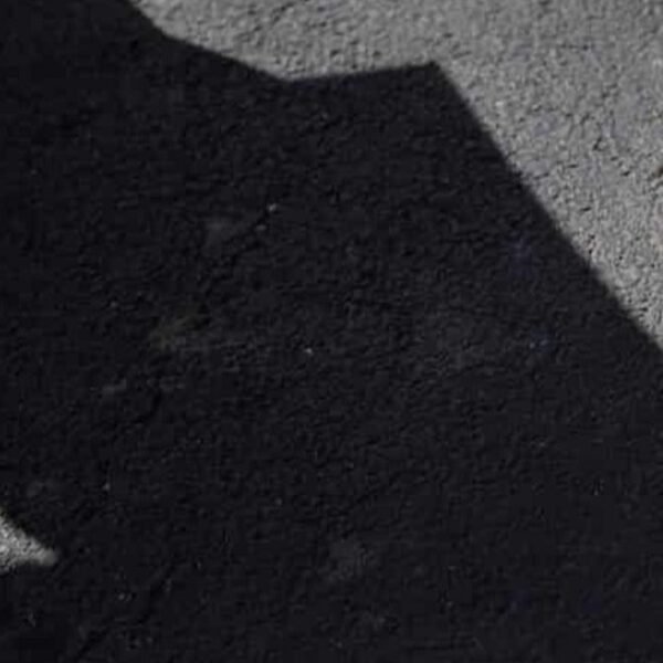 Trump Vanishes And Hides Behind His Social Media Account As His Iran&hellip;