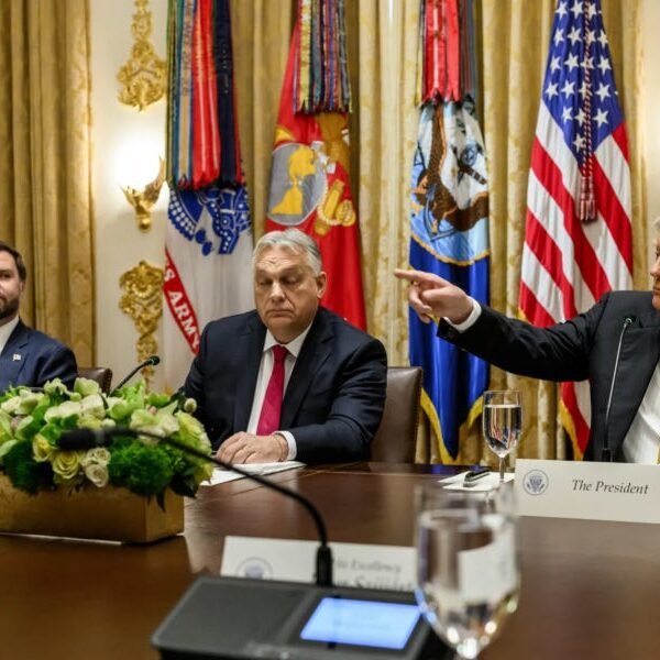 Trump And MAGA See Their Future As Viktor Orbán Gets Wiped Out&hellip;