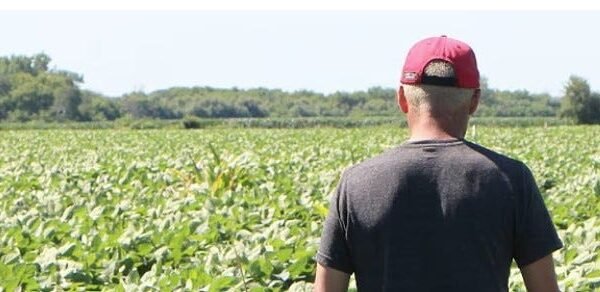 Farmers Voted For Trump And Now They Are Being Destroyed