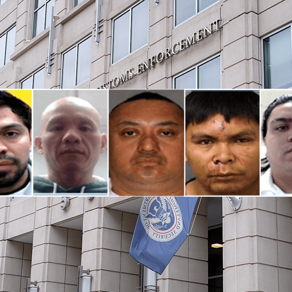 ICE reviews extra legal migrants arrested as sufferer help program marks one…