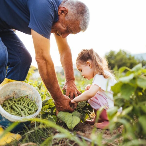 My Top Dividend Bargains For April 2026