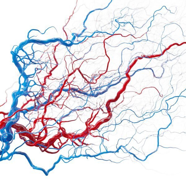 AngioDynamics Growing, But With More Noise Than The Street Likes (NASDAQ:ANGO)