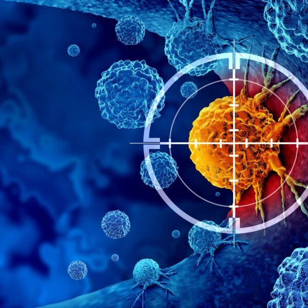 A Dog, A Diagnosis And A Different Way To Understand AI