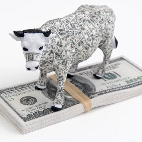 COWZ: Is Opportunity Knocking Again For This $18B Cash Cows ETF?