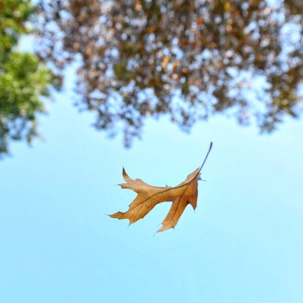 BIZD: Private Credit Is Still In Trouble