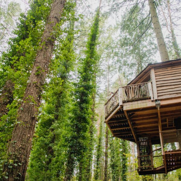 I Am Sharing Two Of My Retirement High-Yield Gems