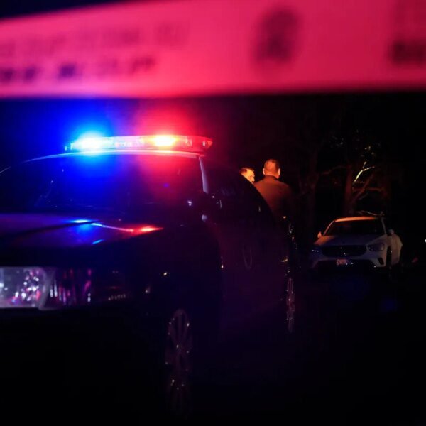 Hackers steal and leak delicate LAPD police paperwork