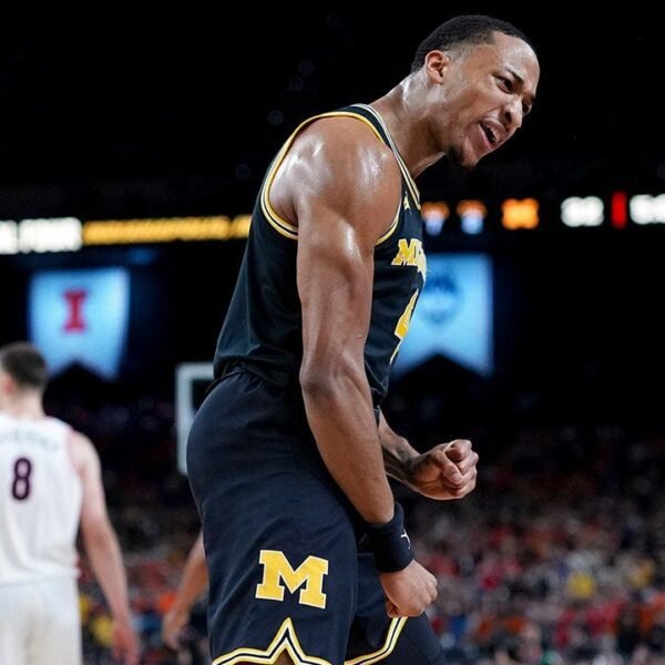 Michigan Wolverines rout Arizona to succeed in nationwide championship sport