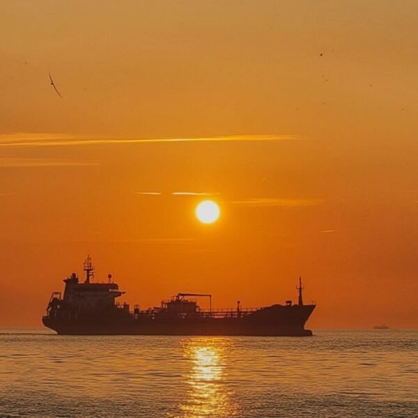 December WTI crude tells a narrative of average disruption. What’s the sign?