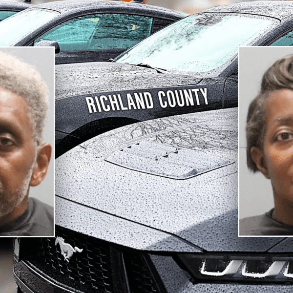 South Carolina pastor, spouse arrested after alleged abuse of foster youngsters