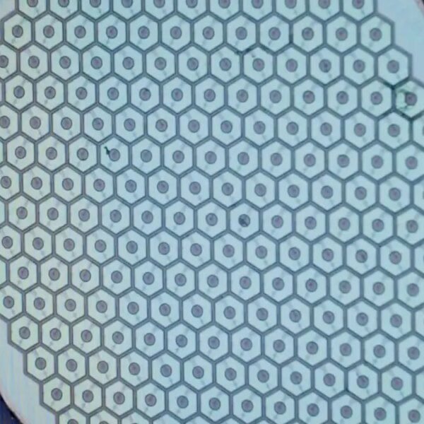 Max Hodak’s Science Corp. is making ready to put its first sensor&hellip;