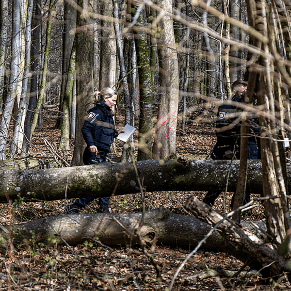 Young mom, teen, child killed in Easter egg hunt tragedy