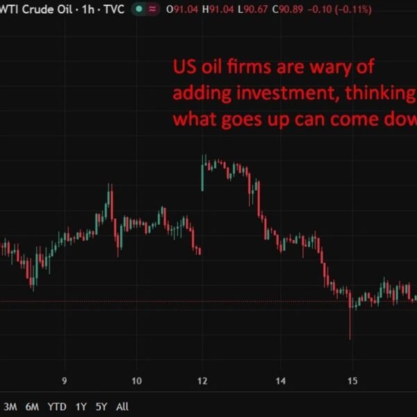 White House urges oil CEOs to pump extra as costs surge
