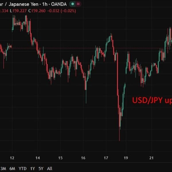 Japan exports beat however rising import prices squeeze commerce surplus
