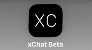 X brings again Voice Notes to X Chat
