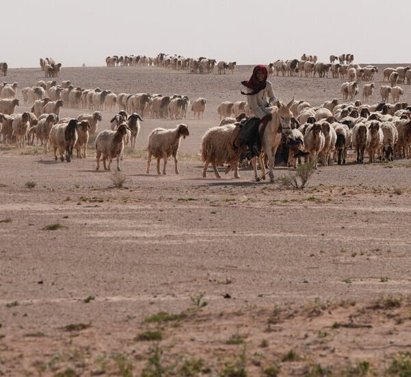 In Iraqi Desert, Two Israeli Outposts Were Kept Secret for Months