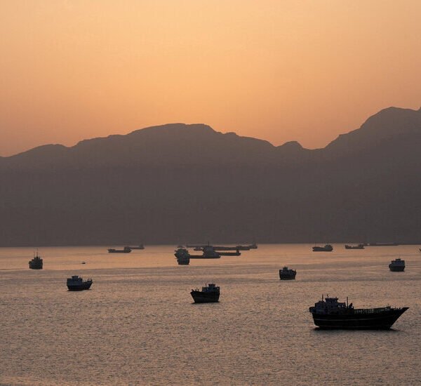 Trump Says U.S. Will Help Stranded Ships Leave Strait of Hormuz