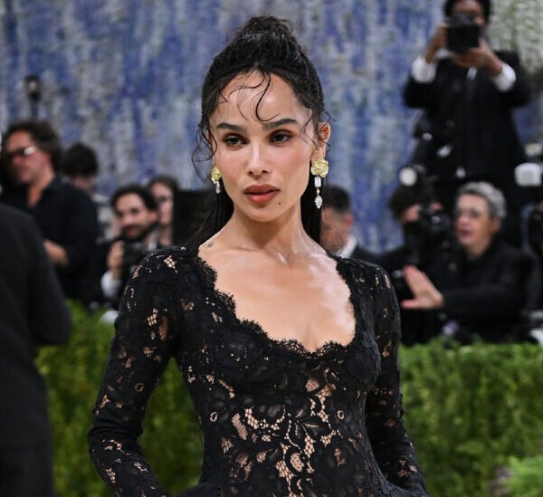 Met Gala 2026 Red Carpet Photos: All the Looks