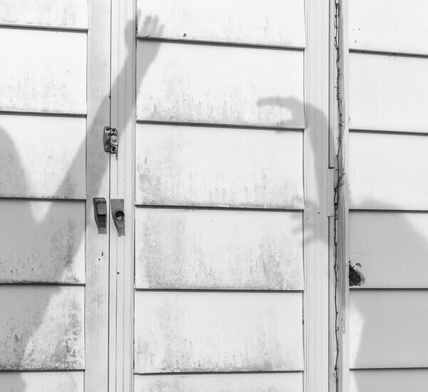 Opinion | Molly Jong-Fast on Her Mother, Erica Jong, on Mother’s Day