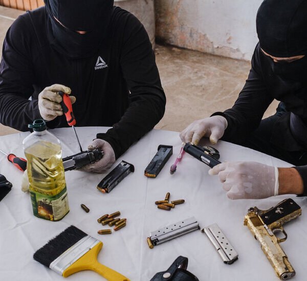 How a Drug Cartel Made a Mexican State Its Tool