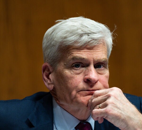 Cassidy Loses Senate Primary in Louisiana, as Trump Vanquishes G.O.P. Foe