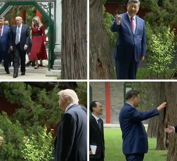 ‘For Example, Putin’: How Xi Used a Private Garden Walk to Charm…